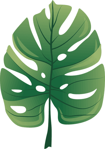 Transparent green leaf icon vector for nature illustrations