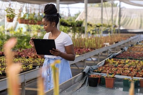 African american nursery worker inspecting seedlings in greenhouse with clipboard