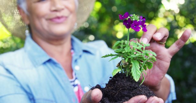 Elderly woman enjoying gardening in the outdoors, holding a small blooming flower with fresh soil. This image is ideal for promoting activities for seniors, advertising gardening tools or services, illustrating healthy lifestyle choices, or enhancing content related to organic and green living.