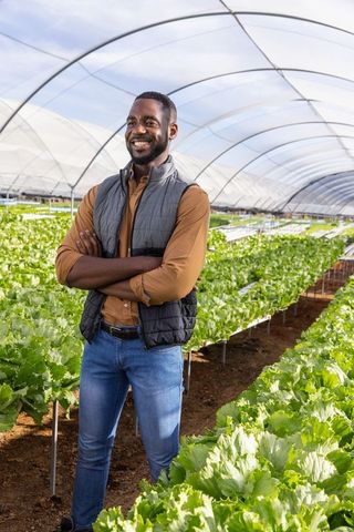 African american man in hydroponic greenhouse agriculture