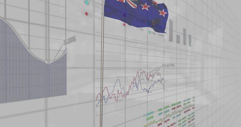 Financial analytics dashboard with new zealand flag focus