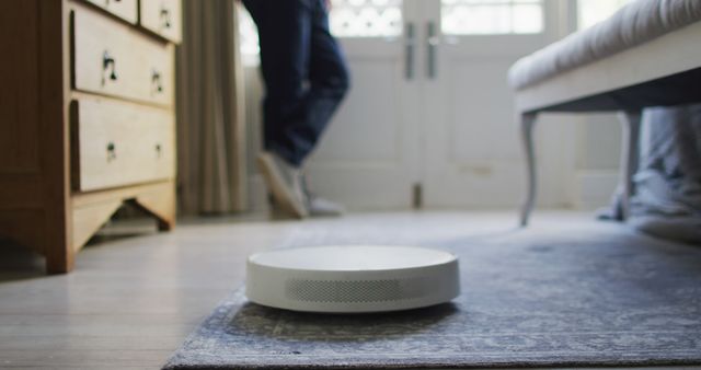 A robot vacuum is cleaning the hardwood floor in a living room with an area rug. Useful for illustrating smart home technology, domestic automation, and modern home interiors. Effective for promoting cleaning devices, smart home innovations, and lifestyle improvements in residential settings.