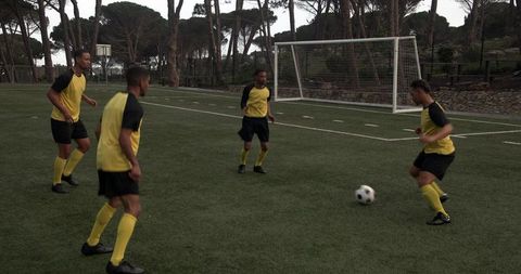 Soccer Team Engaging in Tactical Practice on Outdoor Field