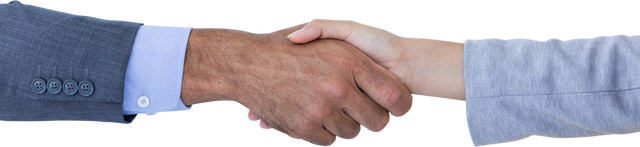 Transparent Handshake of Business People Sealing Deal - Download Free Stock Videos Pikwizard.com