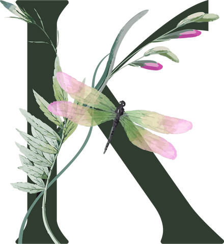 artistic letter k with dragonfly and botanical design on transparent background - Download Free Stock Videos Pikwizard.com