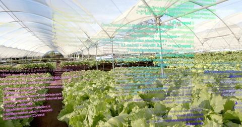 Innovative Organic Farming with Digital Integration in Greenhouse