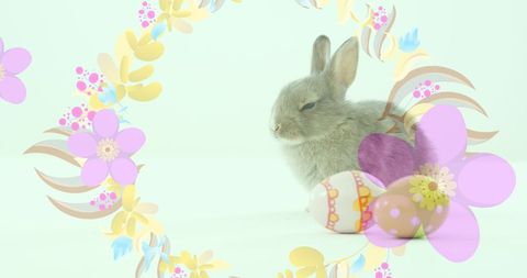 Cute Easter Bunny with Colorful Eggs and Flowers in Pastel Shades - Download Free Stock Images Pikwizard.com