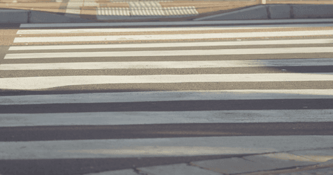 empty zebra crossing on daytime street - Download Free Stock Videos Pikwizard.com