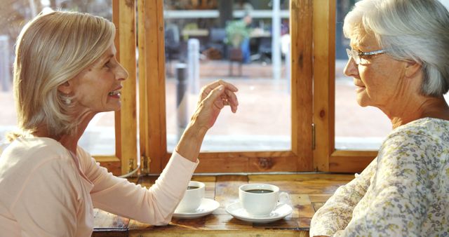 Senior Women Having Coffee and Conversation in Cozy Cafe - Download Free Stock Images Pikwizard.com