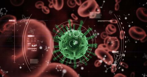Cyber Visuals of COVID-19 Virus and Blood Cells Interplay - Download Free Stock Images Pikwizard.com