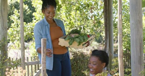 African woman and girl harvesting leafy greens in backyard pergola holding wooden crate