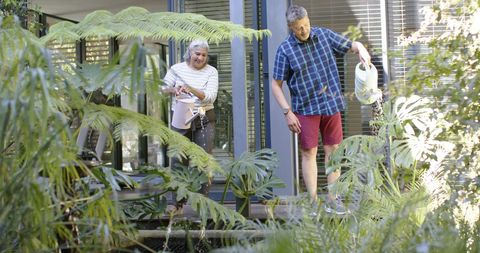 Senior Couple Joyfully Watering Plants in Lush Garden