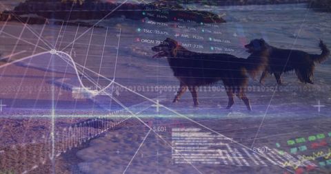 Blurred Digital Data Processing Overlay with Dogs at Beach