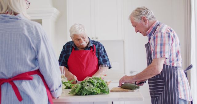 Diverse Senior Friends Enjoying Cooking Together in Kitchen - Download Free Stock Images Pikwizard.com