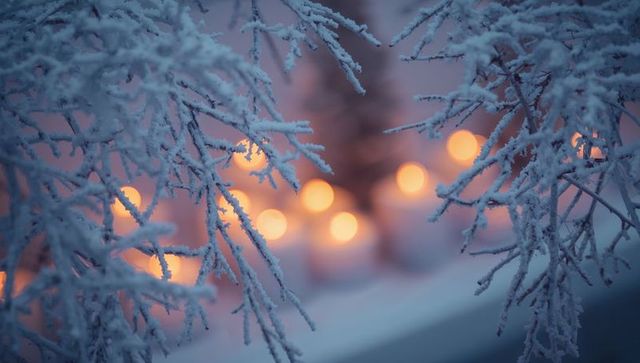 Twilight frost-covered branches framing warm amber candlelight bokeh