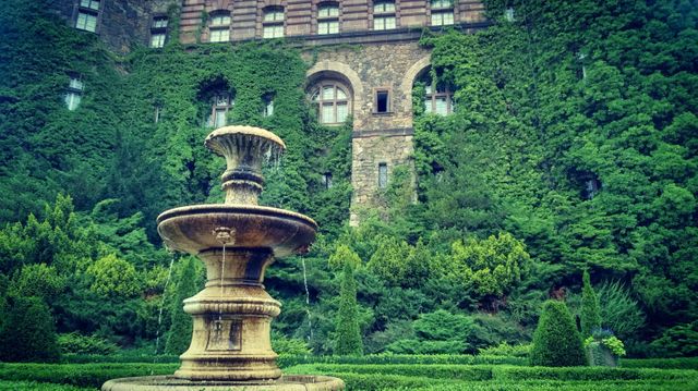 Vintage Stone Fountain with Overgrown Ivy on Historic Building - Download Free Stock Photos Pikwizard.com