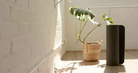 Minimalistic Sunlit Interior with Plant and Speaker