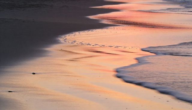 Reflecting pastel sunset on curving shoreline with gentle wave foam and wet sand