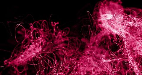 Dynamic Pink Light Trails on Black Background - Download Free Stock Images Pikwizard.com