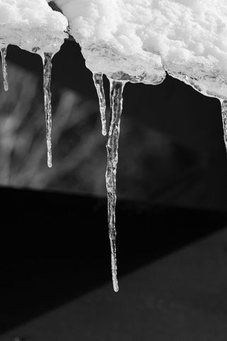 Black and White Dripping Icicles Melting Snow Hanging from Roof Edge
