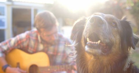 Man Playing Guitar Outdoors with Joyful Dog in Sunny Garden