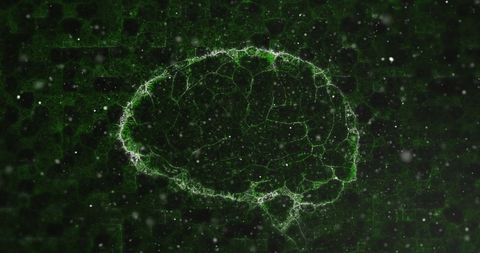 Digital Representation of Brain with Data Flow and Energy - Download Free Stock Images Pikwizard.com