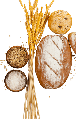artisanal bread and ingredients on transparent background - Download Free Stock Videos Pikwizard.com