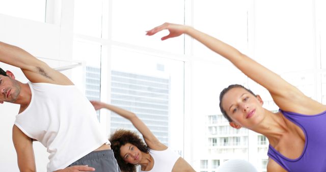 Group Stretching in Modern Gym During Fitness Class - Download Free Stock Images Pikwizard.com