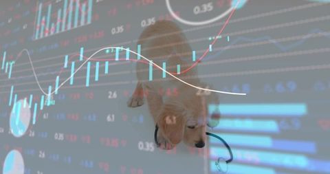 Golden Retriever Puppy Holding Stethoscope Overlaid With Financial Candlestick Charts