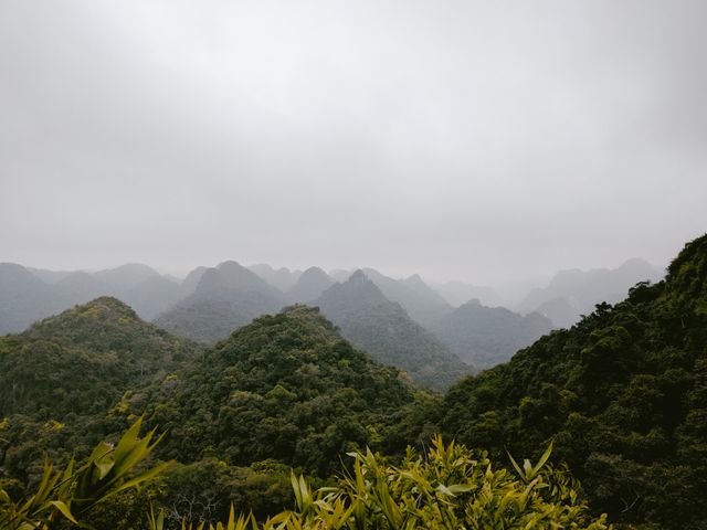 Rolling misty mountains covered in lush greenery create a serene and tranquil scene, perfect for travel magazines, nature blog posts, meditation apps, or environmental websites. Ideal for posters emphasizing eco-tourism or natural beauty.