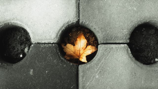 This close-up shot features an autumn leaf trapped between four concrete blocks. It symbolizes change, seasons, and the natural vs. man-made. Suitable for backgrounds, themes of transition, impermanence, and nature interactions within urban environments.