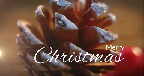 Festive Christmas Pinecone with Merry Christmas Text