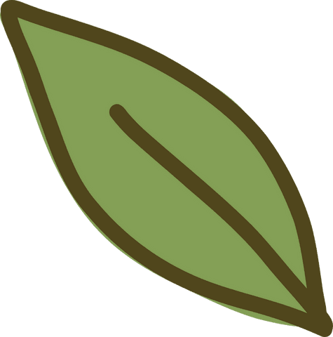 Flat design green leaf illustration on transparent background