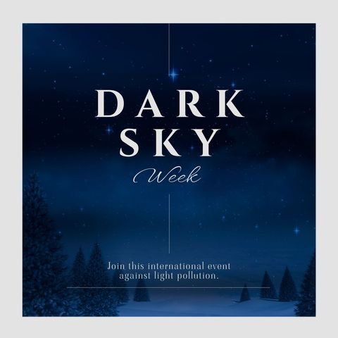 Dark Sky Week Promotion with Starry Night and Fir Trees - Download Free Stock Templates Pikwizard.com