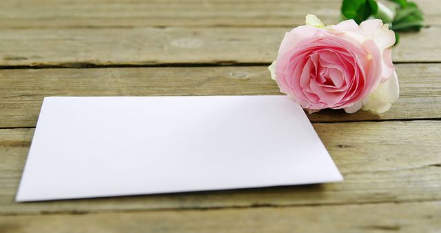 A pale pink rose lies next to a blank white card on a rustic wooden surface, with copy space. Perfect for conveying messages of love, appreciation, or celebration in a delicate and romantic manner.