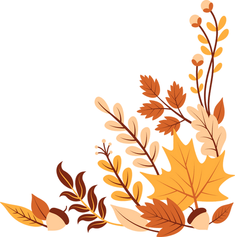 flat design autumn foliage with leaves and acorns on transparent background - Download Free Stock Videos Pikwizard.com