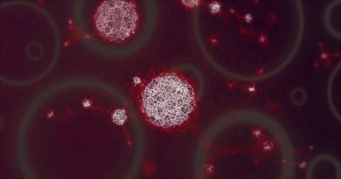 Abstract digital spheres with fractal and geometric patterns