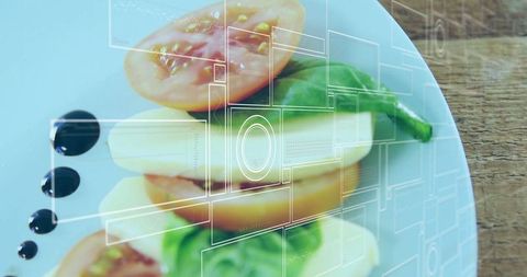 Gourmet dish presentation with digital overlay techniques