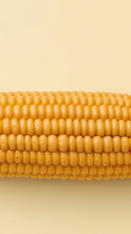 Vertical Close-up Video Showing Golden Corn Ear on Beige Backdrop Highlighting Kernel Texture