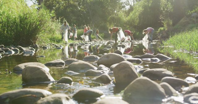 Volunteers Cleaning Trash in a Forest Stream - Download Free Stock Images Pikwizard.com