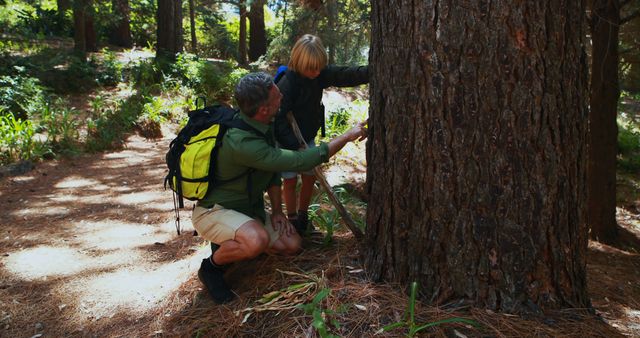 Father and son are outdoors in a forest, engaging in exploration and learning about nature. Ideal for topics related to family, outdoor activities, adventure, father-son relationships, and educational experiences in nature.