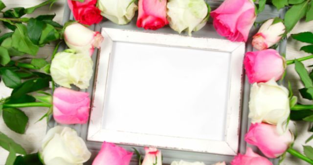 Empty picture frame encircled by vibrant pink and white roses, perfect for romantic occasions or as a decorative background. Ideal for use in themes around love, romance, weddings, anniversaries, and other romantic gestures. Useful for promotional materials, websites, greeting cards, and social media posts highlighting romantic or celebratory settings.