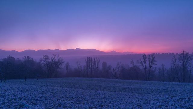 Frosted meadow and misty valley at winter sunrise with violet sky and mountain silhouettes