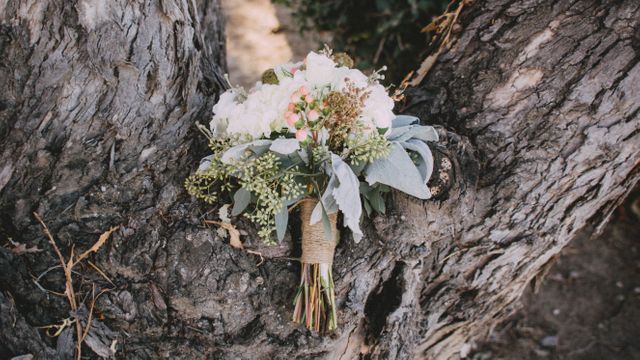 Rustic bridal bouquet arranged on rough tree trunk, perfect for nature-themed weddings, bridal magazines, flower shop advertisements, wedding planning websites, and decoration guides. The natural setting enhances the flowers' beauty, making it a great option for showcasing wedding decor ideas.