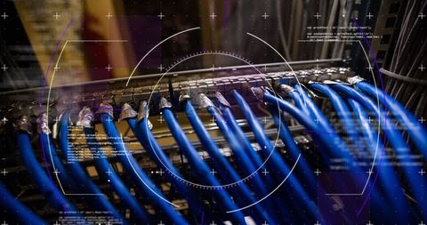 Digital Interface Display on High-Tech Server Cables - Download Free Stock Images Pikwizard.com