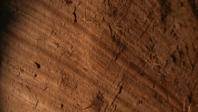 Macro close-up showing weathered wood grain, scratches, sawdust and tool marks under light