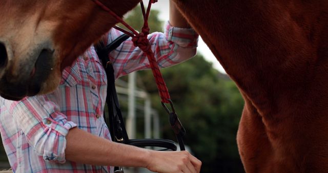 Close-up of a person brushing a brown horse outdoors. The individual is wearing a plaid shirt while holding the grooming tool. Use this image for content focusing on animal care, farm activities, equine maintenance and training, or educational materials about horse grooming.