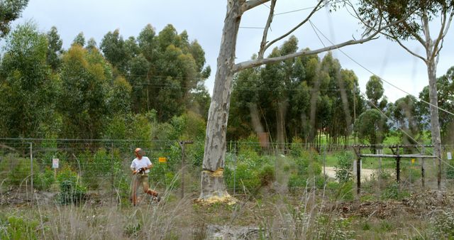 Arborist working in forest clearing using chainsaw. Tall trees in background with fencing and grassy area. Ideal for environmental care, forestry activities, tree cutting, manual labor, natural surroundings related content.