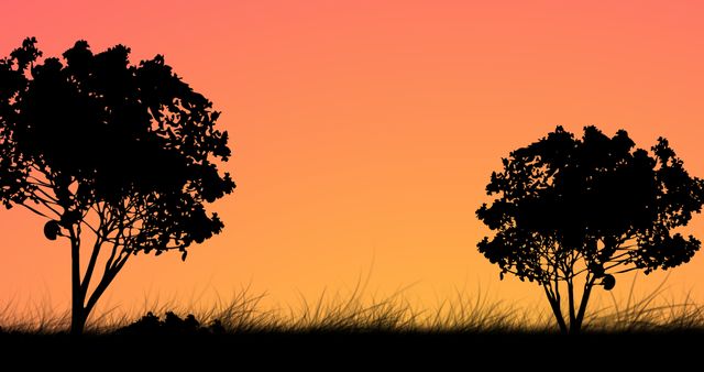 Illustration of silhouette trees growing on grassy landscape against orange clear sky at sunset. Vector, abstract, nature and scenery concept.