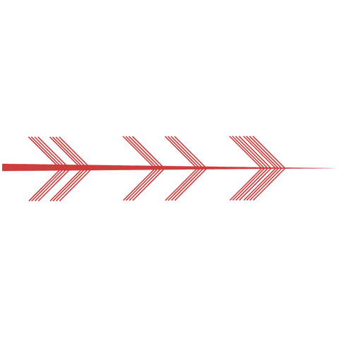 red arrow abstract pattern on transparent background vector - Download Free Stock Videos Pikwizard.com